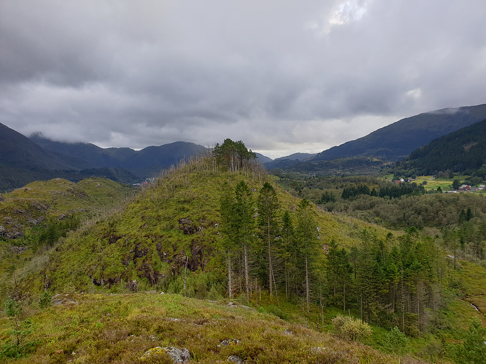 Haukheia.