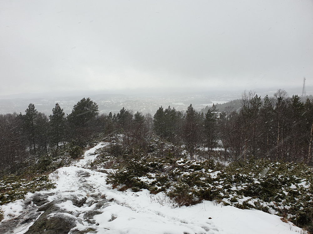 Fra Vardane. Nordåsvatnet i bakgrunnen. Masten på Torneberget til høyre.
