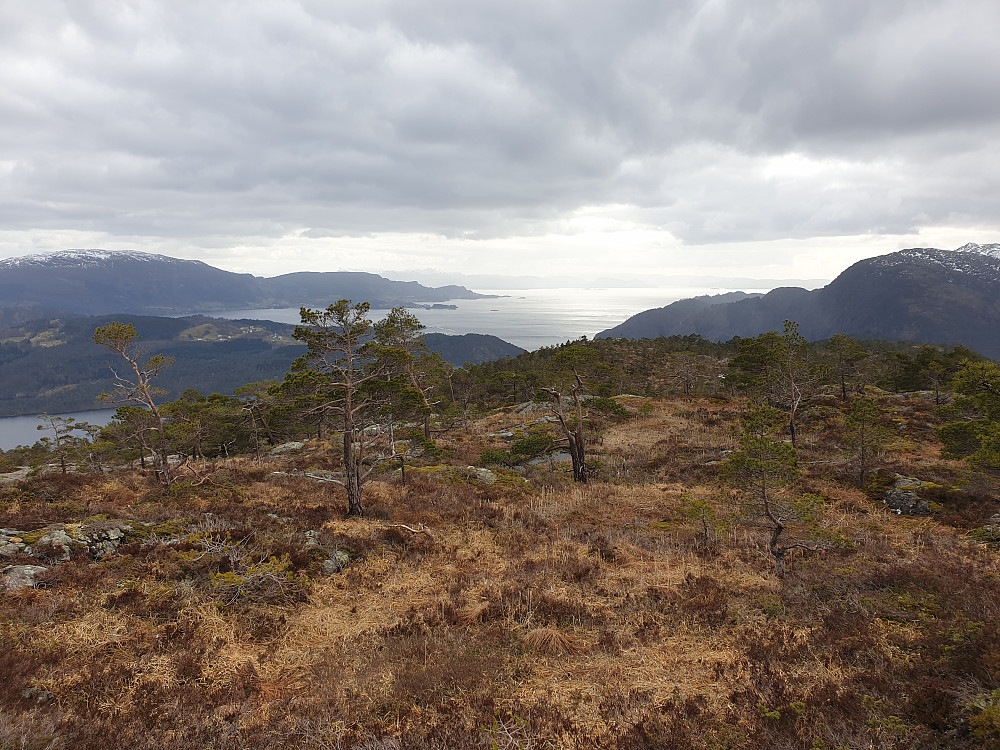 Fra Strandafjellet mot sør.