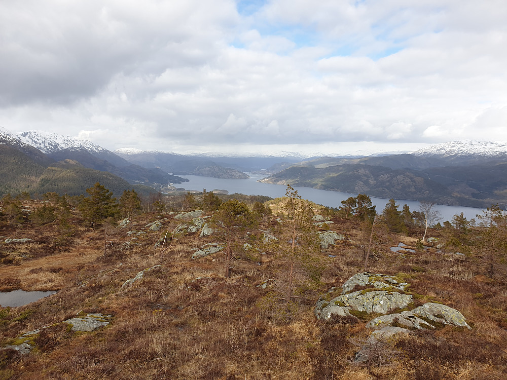 Fra Strandafjellet. Samnangerfjorden i bakgrunnen.