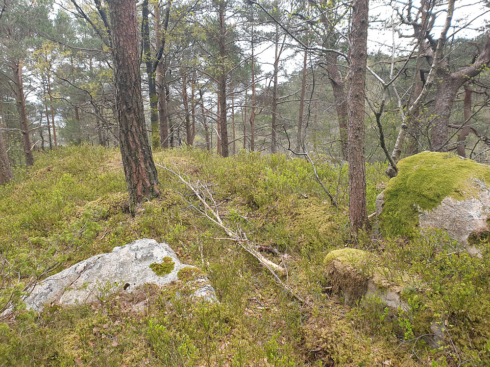 Eikhaugen.