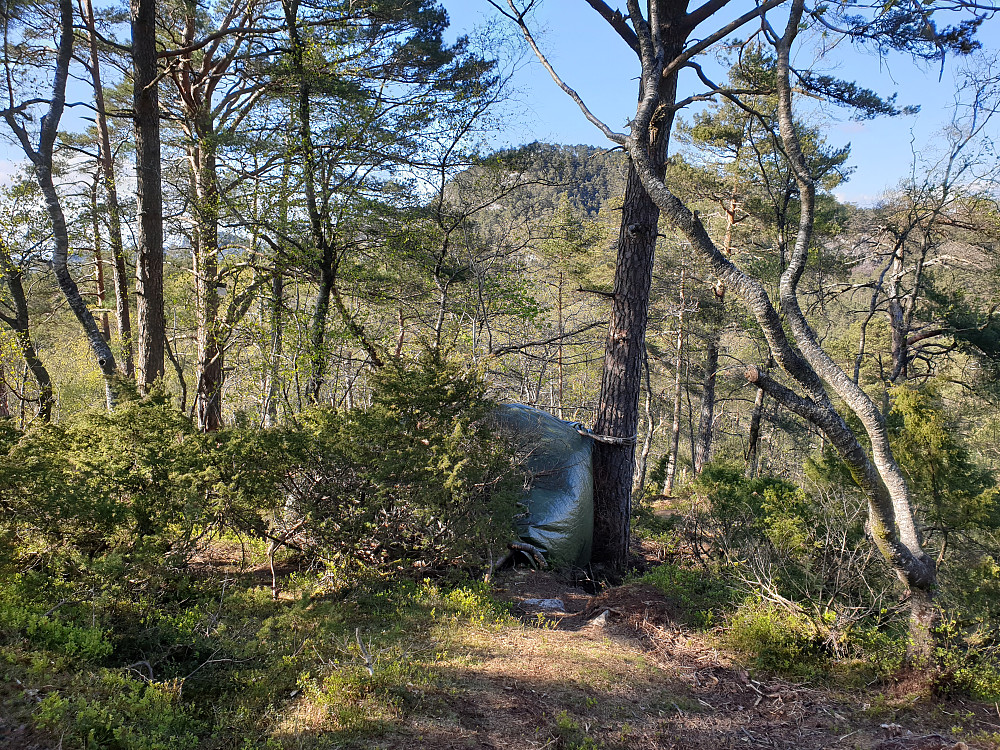 Fra Træshovden. Svartaberget i bakgrunnen.