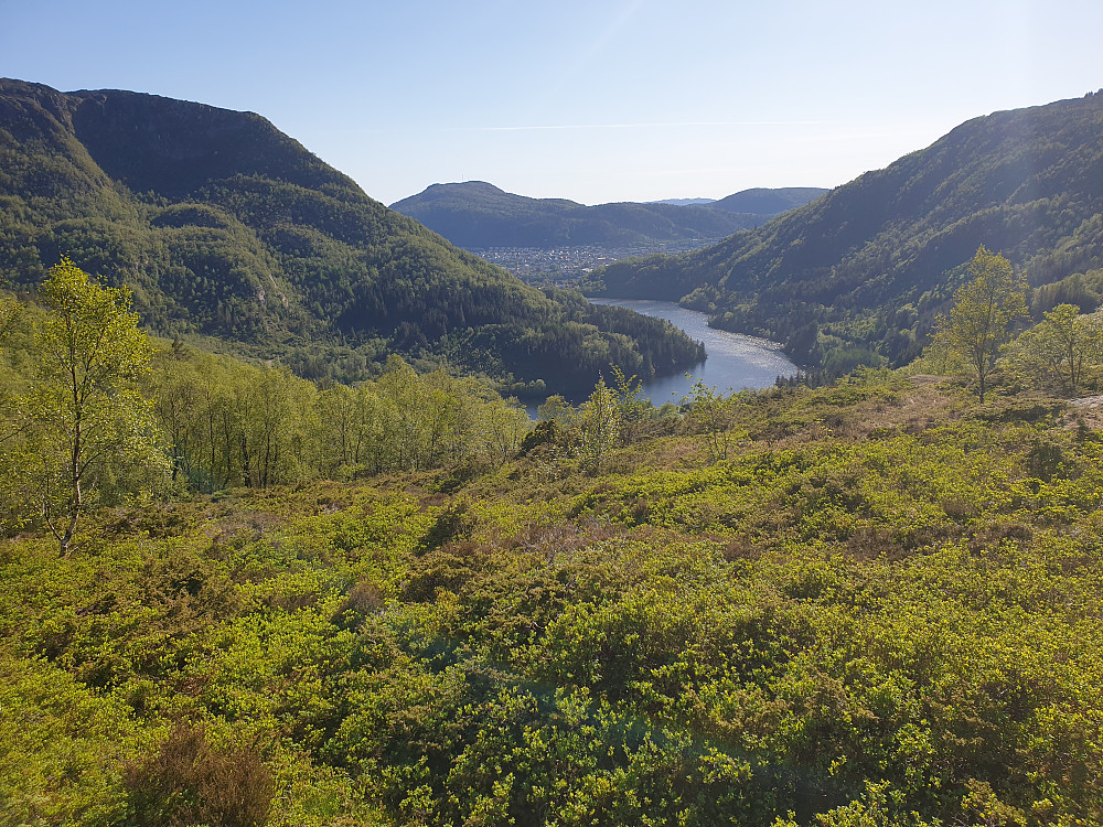 Fra Hardbakkedalen. Svartediket i midten.