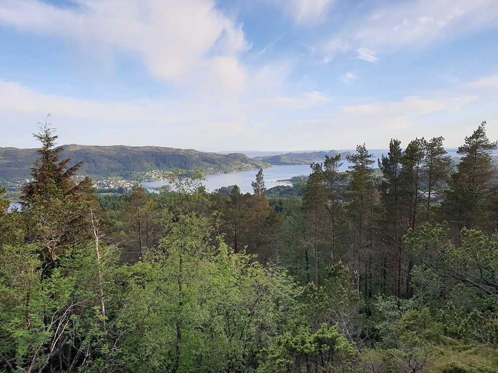 Fra Stendafjellet. Fanafjorden i bakgrunnen.