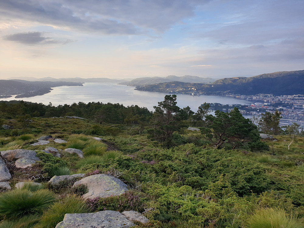 Fra Damsgårdsfjellet. Byfjorden i bakgrunnen og sentrum av Bergen i høyre billedkant.