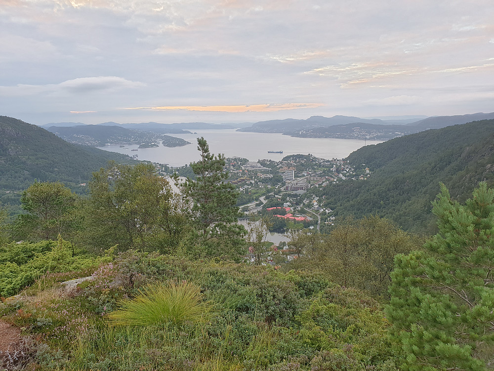 Fra Lyngbønipa mot nord. Byfjorden i bakgrunnen.