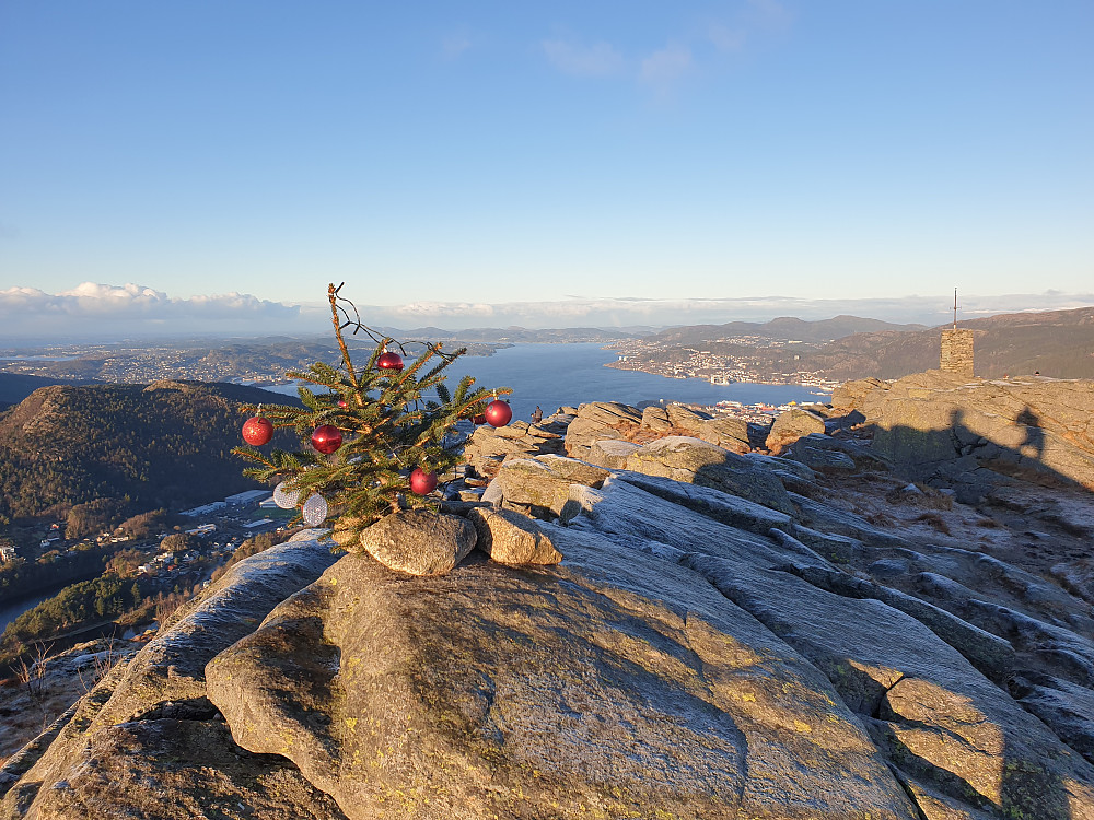 Noen hadde satt opp et lite juletre på toppen av Løvstakken. Byfjorden i bakgrunnen.