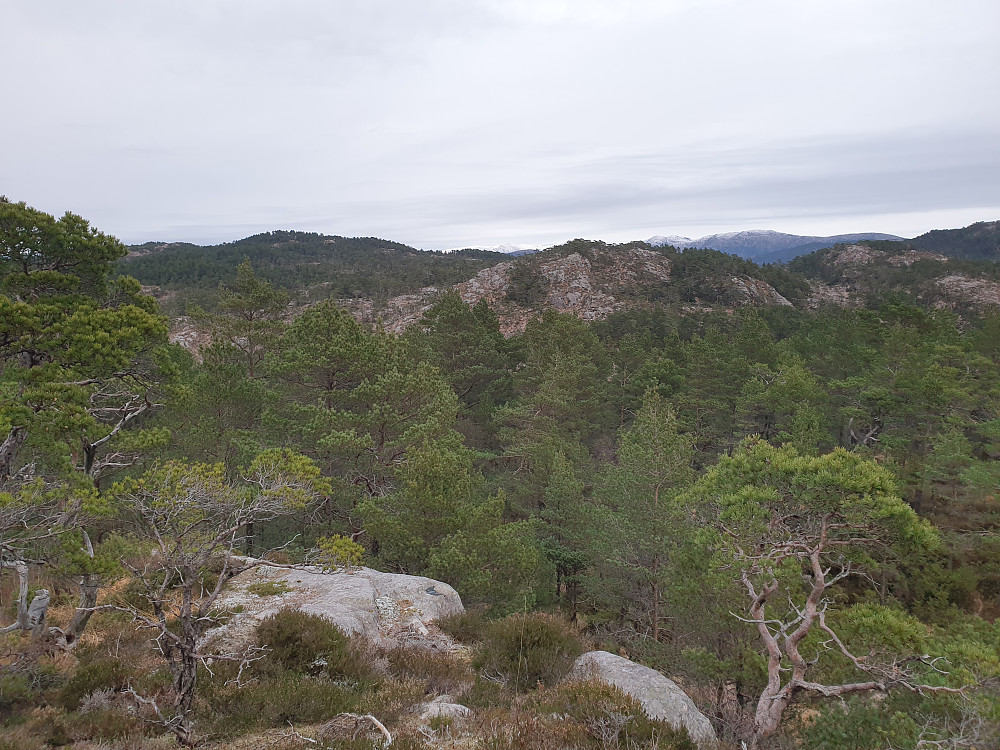 Fra Storakvitefjellet mot nordøst. Hausdalshorga bakerst i midten. Sveningen bak til høyre.