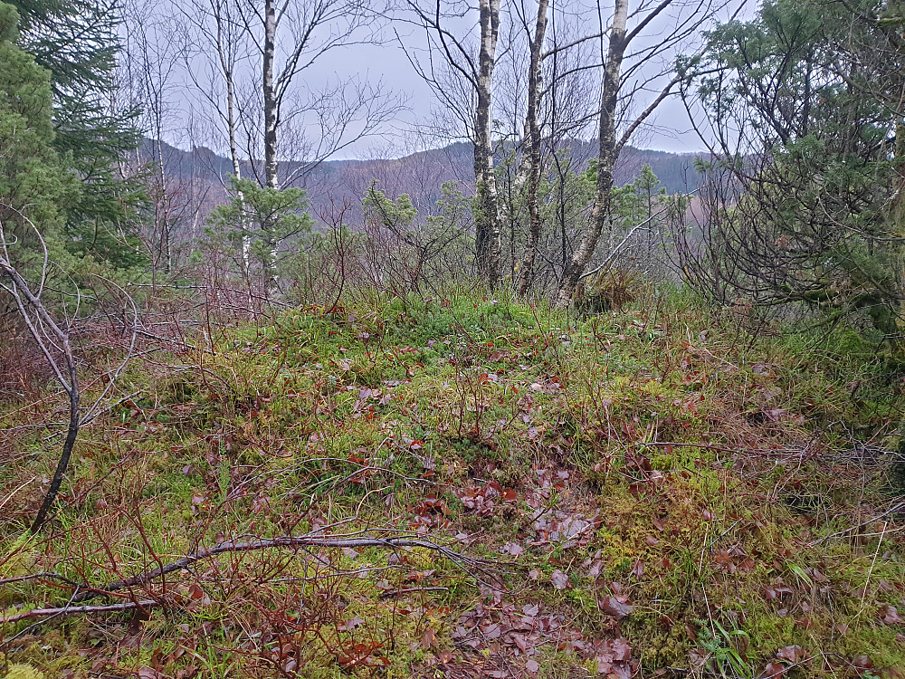 Det høyeste punktet på toppen Fjellet.