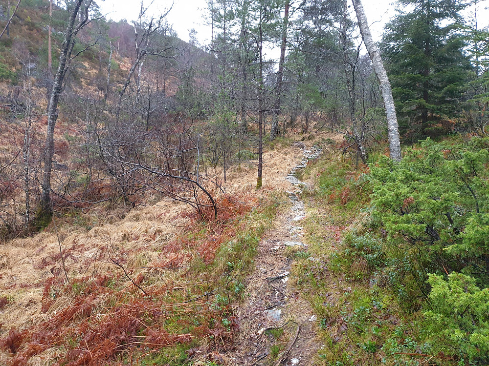 Fin sti mellom Kattuglefjellet og Barkahaugane.