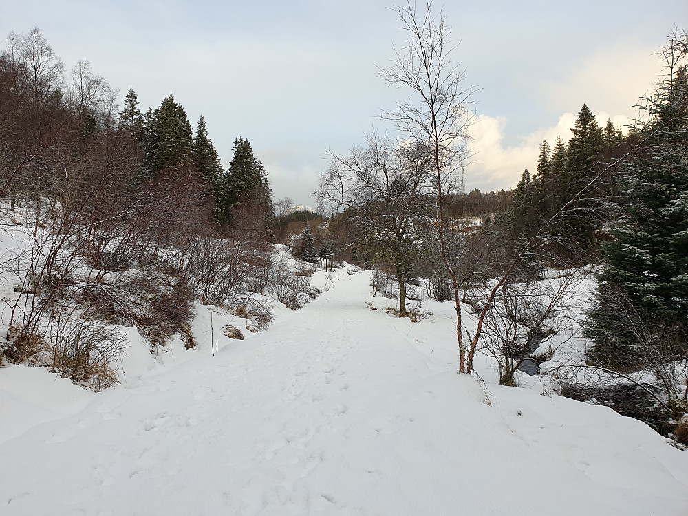 Etter hagl og sludd ble det sol og blå himmel. Toppen av Løvstakken skimtes bakerst i midten. Masten på Torneberget til høyre. Bildet er tatt nord for Stemmedalen.