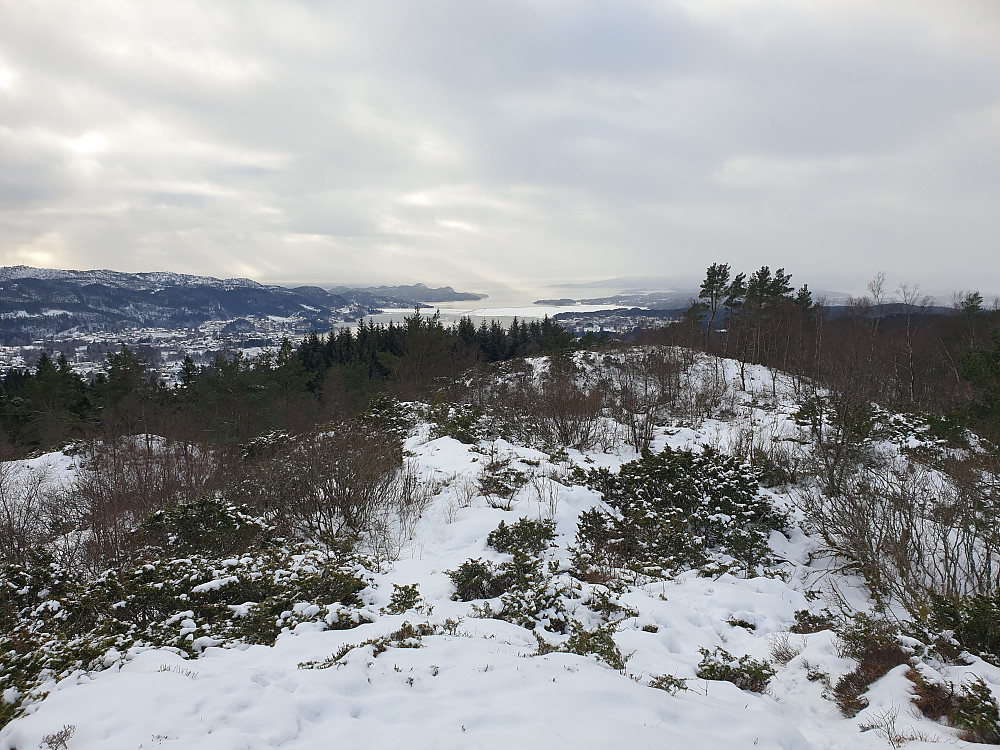 Fra utsiktspunktet "Syningom" på Smøråsen. Fanafjorden i bakgrunnen. Masten på Lyseskarfjellet (Linken) i venstre billedkant.