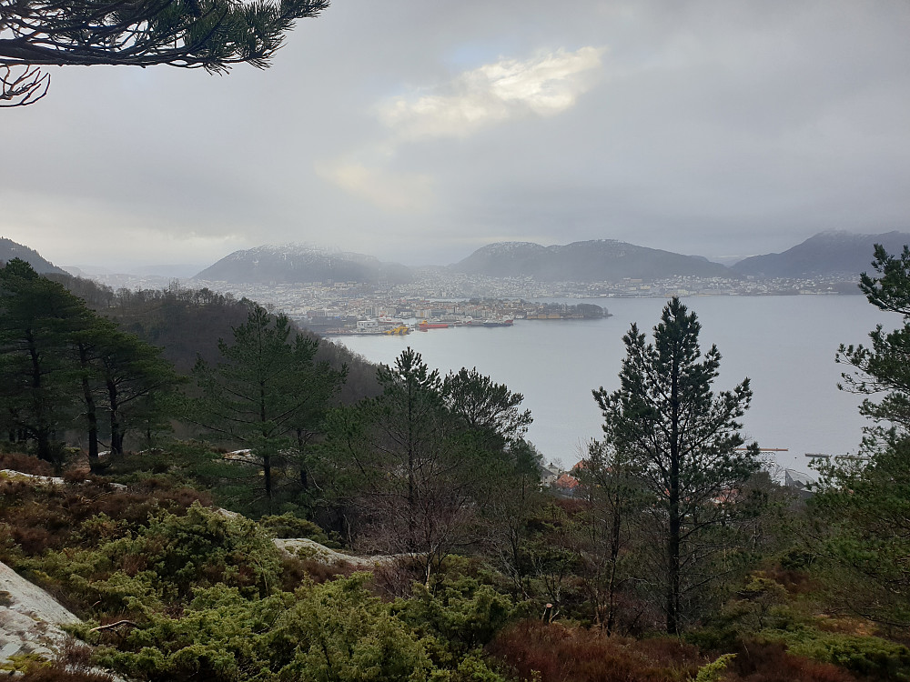 Fra Håmanen. Fra venstre Løvstakken, Olsokfjellet, Gravdalsfjellet og Lyderhorn.