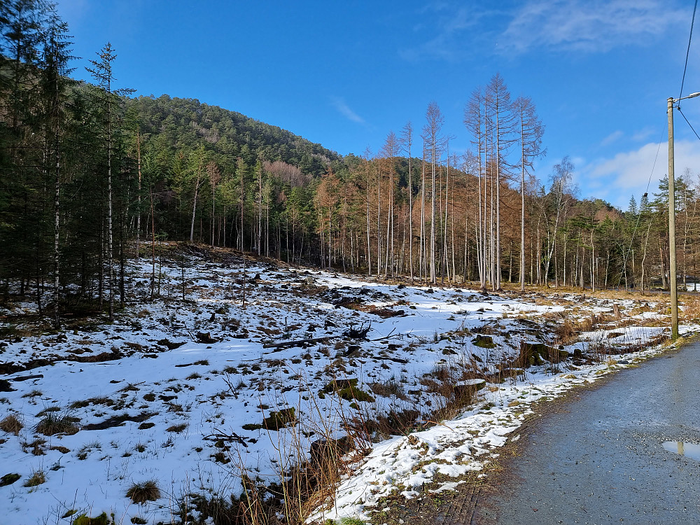 Fra Langeskogen. Været var fint i dag, men det var flere snøbyger i løpet av dagen.