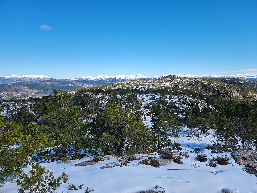 Fra Folldalshaugane mot Lyseskarfjellet.
