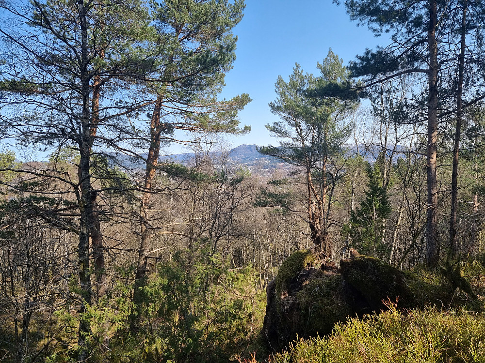 Fra Dolvikfjellet. Løvstakken i midten.