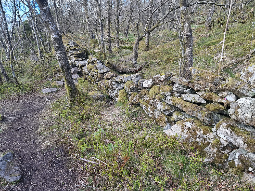Steingjerde mellom Dyrdalsfjellet og Varden.