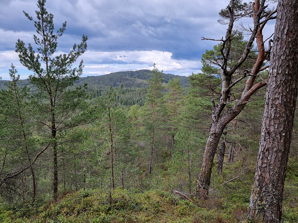 Fra Varden på Askøy. Dronninga i bakgrunnen.