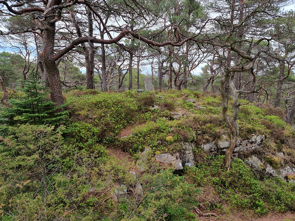 Det "søndre" toppunktet på Silkesåta.