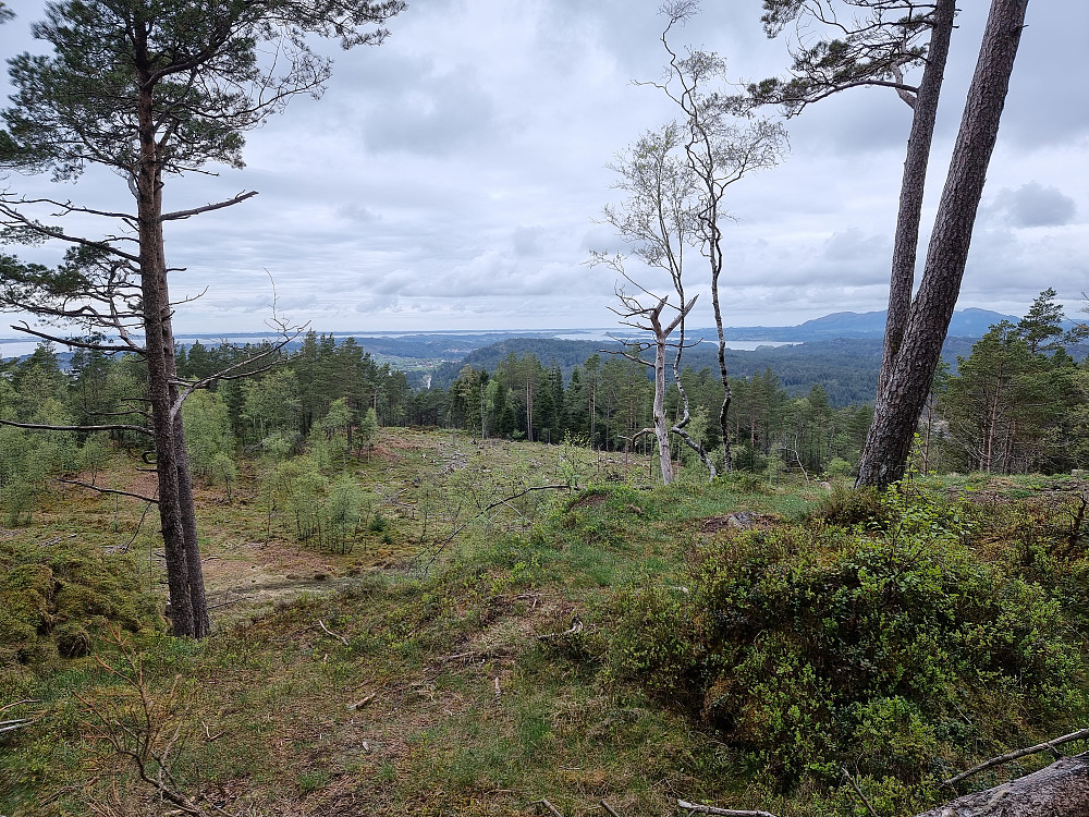 Fra Ospåsen (Åsbøåsen) mot nordvest.