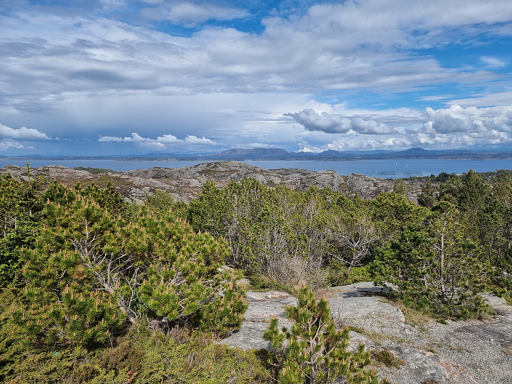 Fra Blomøyknuten mot nordøst. Eidsfjellet bakerst i midten.