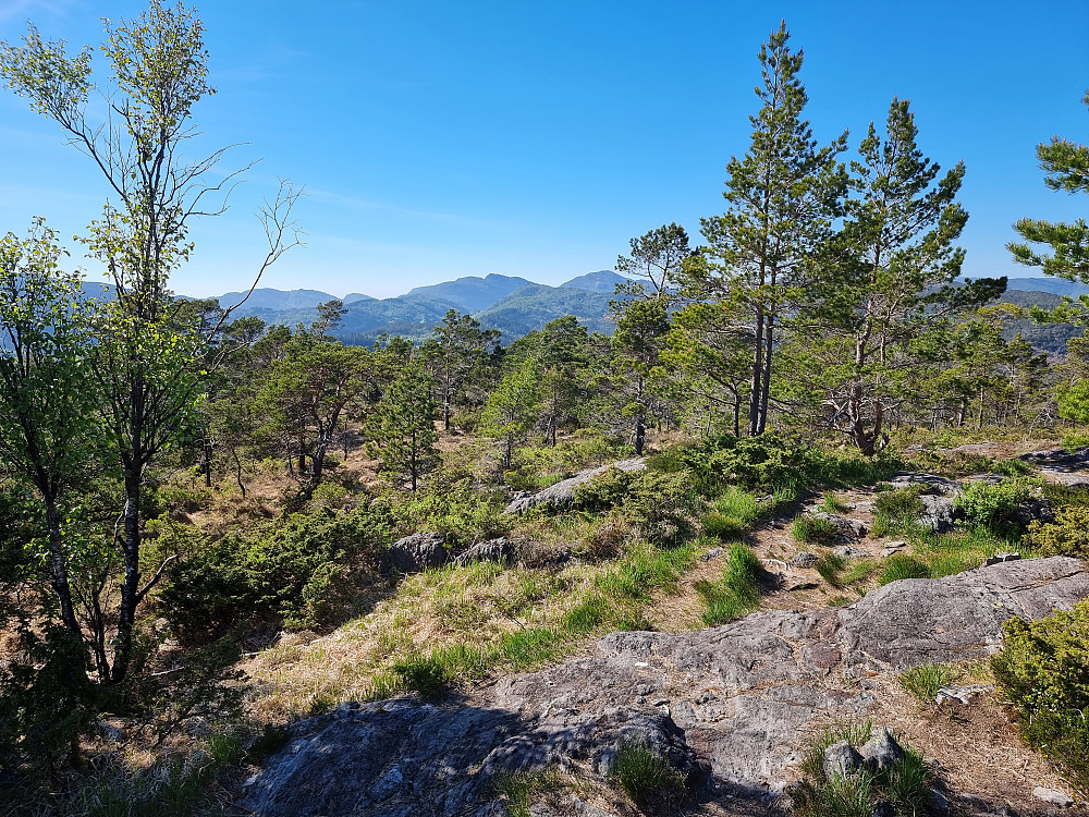 Fra Spåkefjellet mot nordvest.