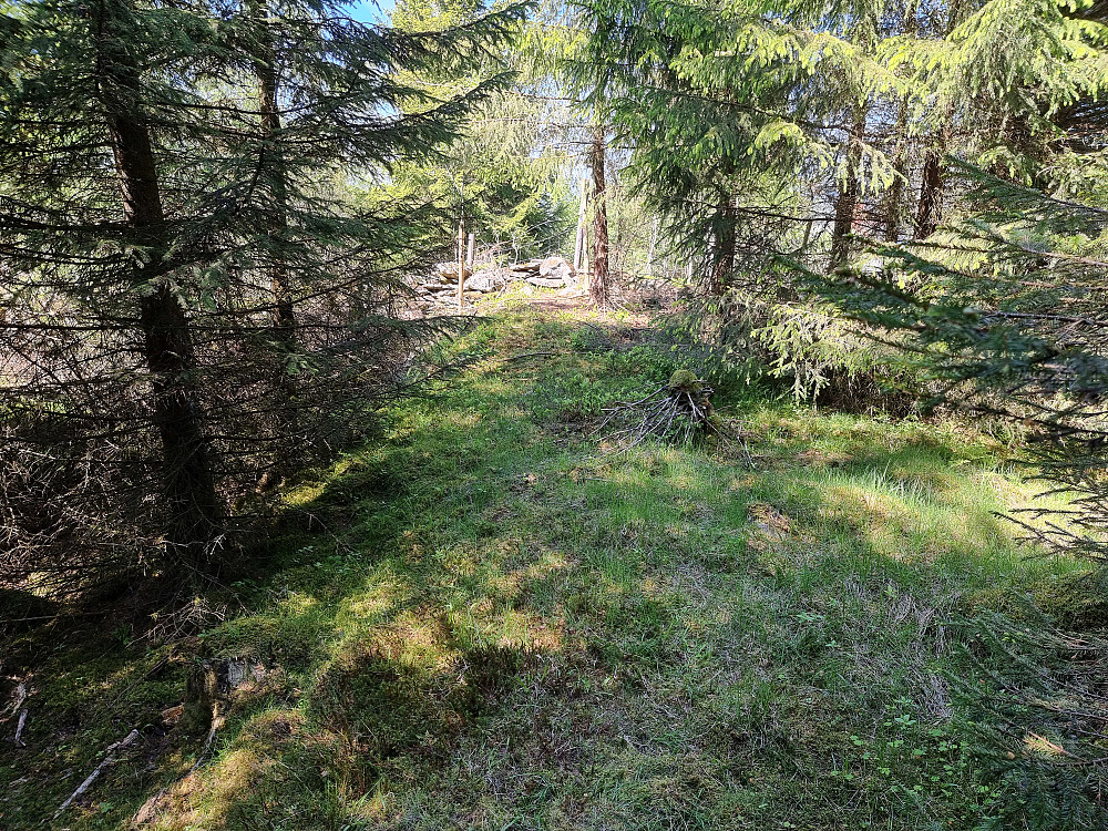 Høgehjellane.