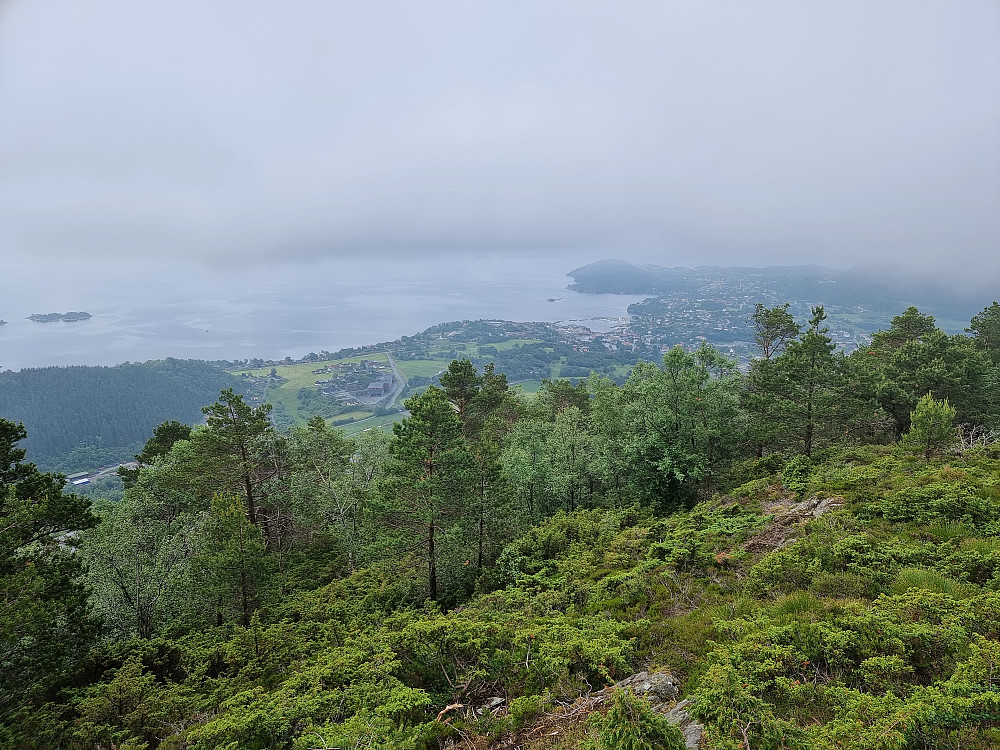 Fra Borgafjellet. Os og Halhjem til høyre.