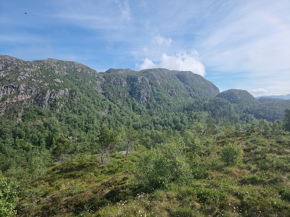 Fra Hegglandsfjellet mot Møsnuken.