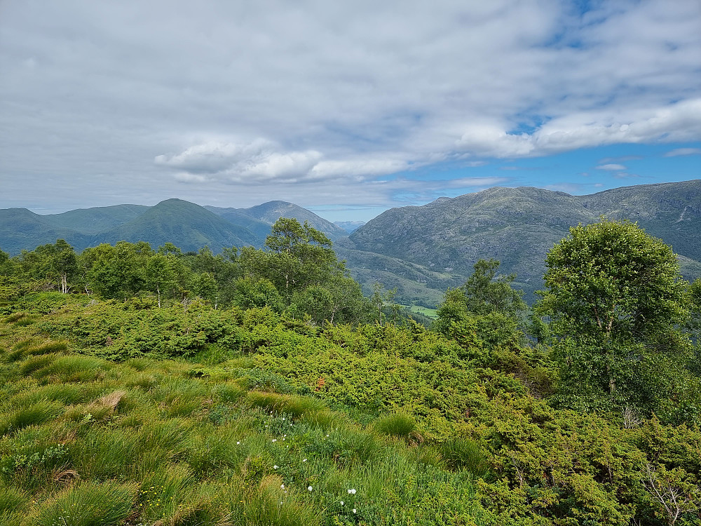 Fra Solbakkefjellet NØ. Fra høyre Sveningen, Søre Gullfjelltoppen og Hausdalshorga.
