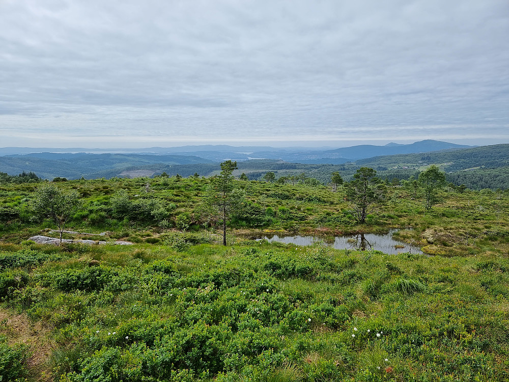 Fra Solbakkefjellet NØ. Løvstakken bak til høyre.