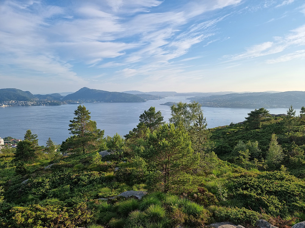 Fra Ørneberget. Vi ser Askøybrua og Lyderhorn til venstre for denne.