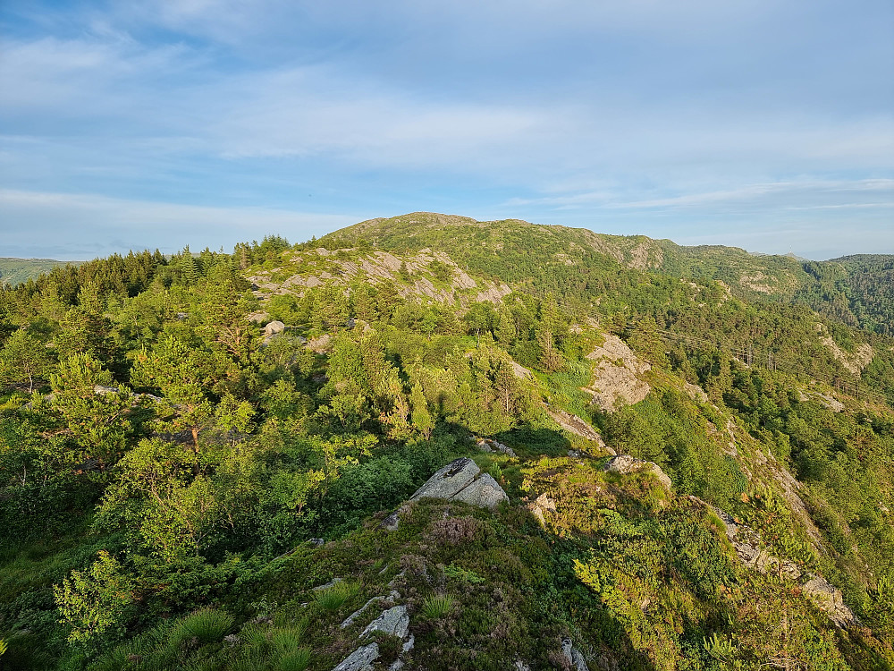 Fra Orretua. Kvitebjørnen i bakgrunnen.