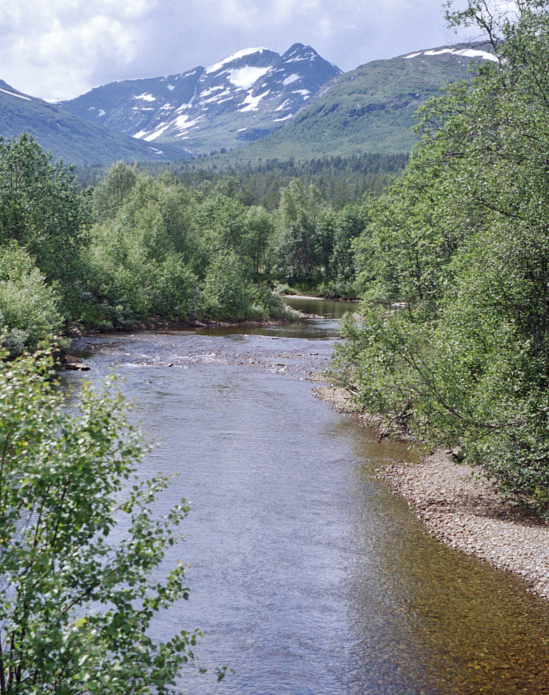 Utsikt innover Eiterdalen.