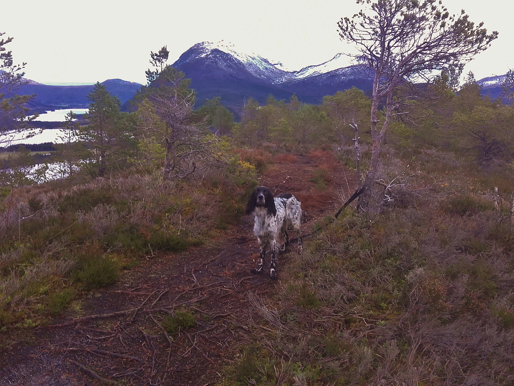 Horja avfotografert på toppen av Klempertåsen. Vei og sti ledet til topps. 