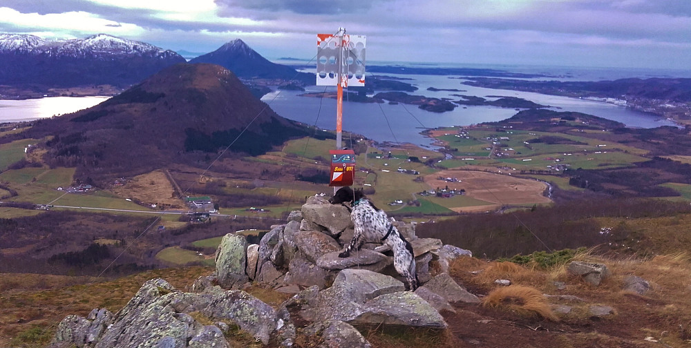 Horja avfotografert på toppen av Røsetåsen. Pb-elementet ligger noen horrisontale og vertikale meter retning øst for dette trigonometriske punktet.