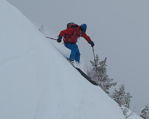 Ola nyter snøen i området hvor han selv høsten 2015 arrangerte dugnader for å tynne ut skog nedover Horsgårddalen.
