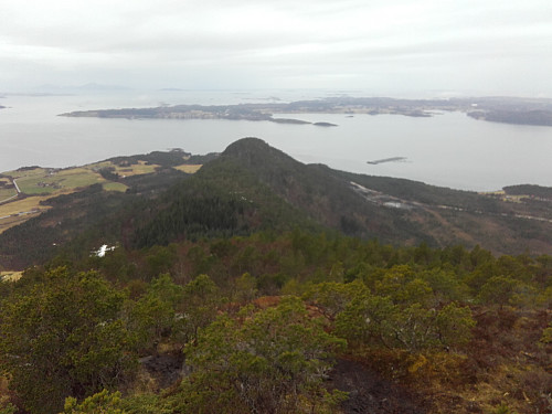 Opp vest ryggen på Jendemsfjellet mot Nøsa.