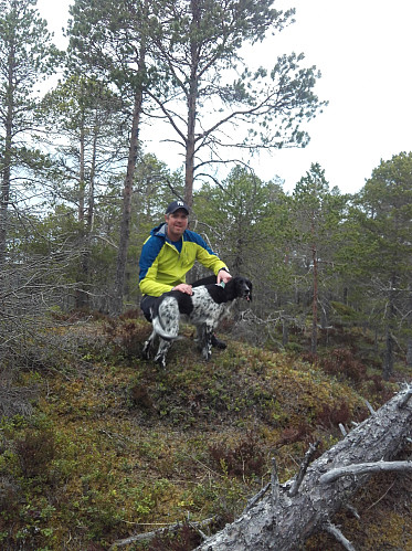 Brendehaugen