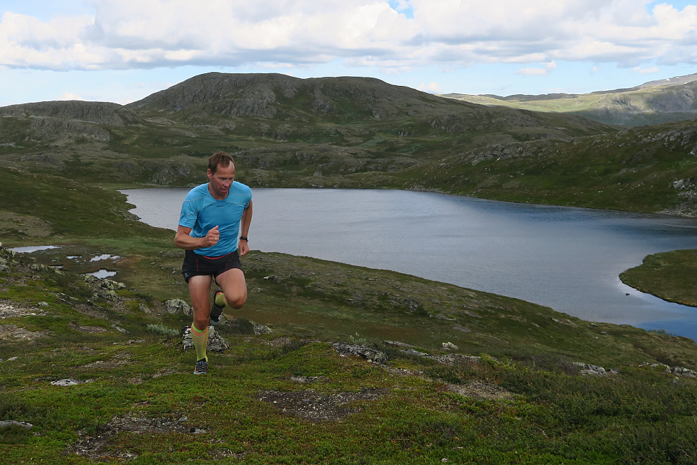 Ved Bårdsfjellet presset jeg meg foran Håvard og knipset et bildet. Nydelig løpeterreng. 