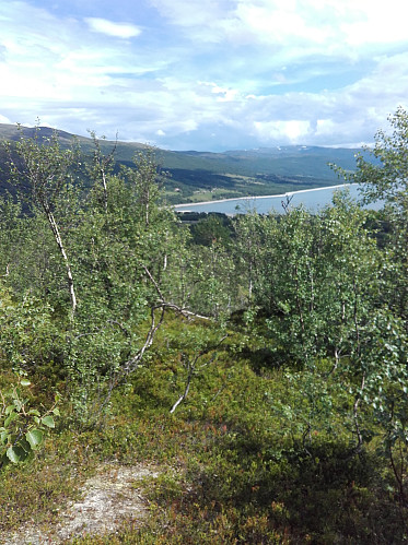 Mot Raudøra.