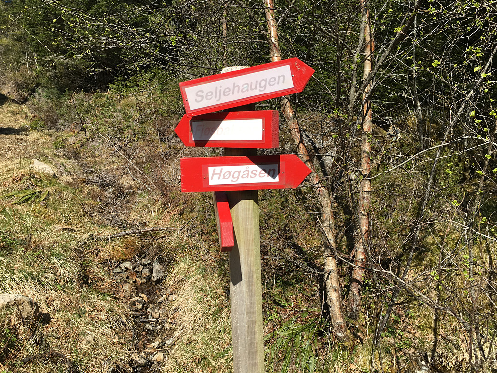 Skilt viste vei til Rånesåsen eller Høgåsen som kulen også kalles.