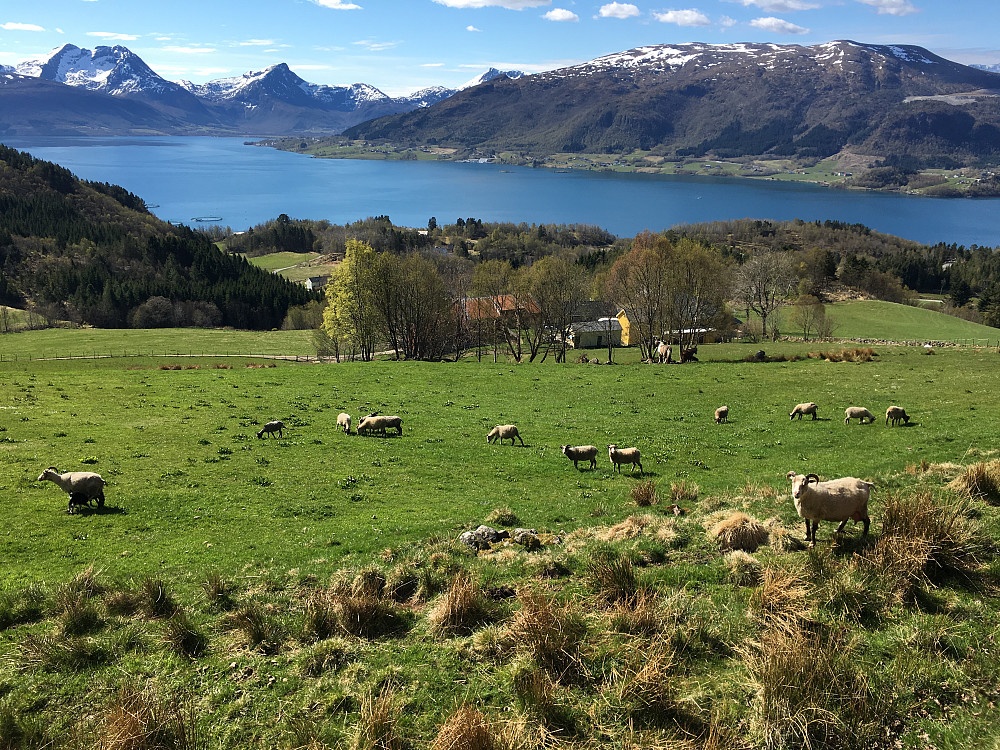 Idyll på gården vi parkerte! Grunneieren....ei tilårskommen dame.....mente vi burde kjøre traktorveien videre oppover....helt til det stoppa av seg selv!