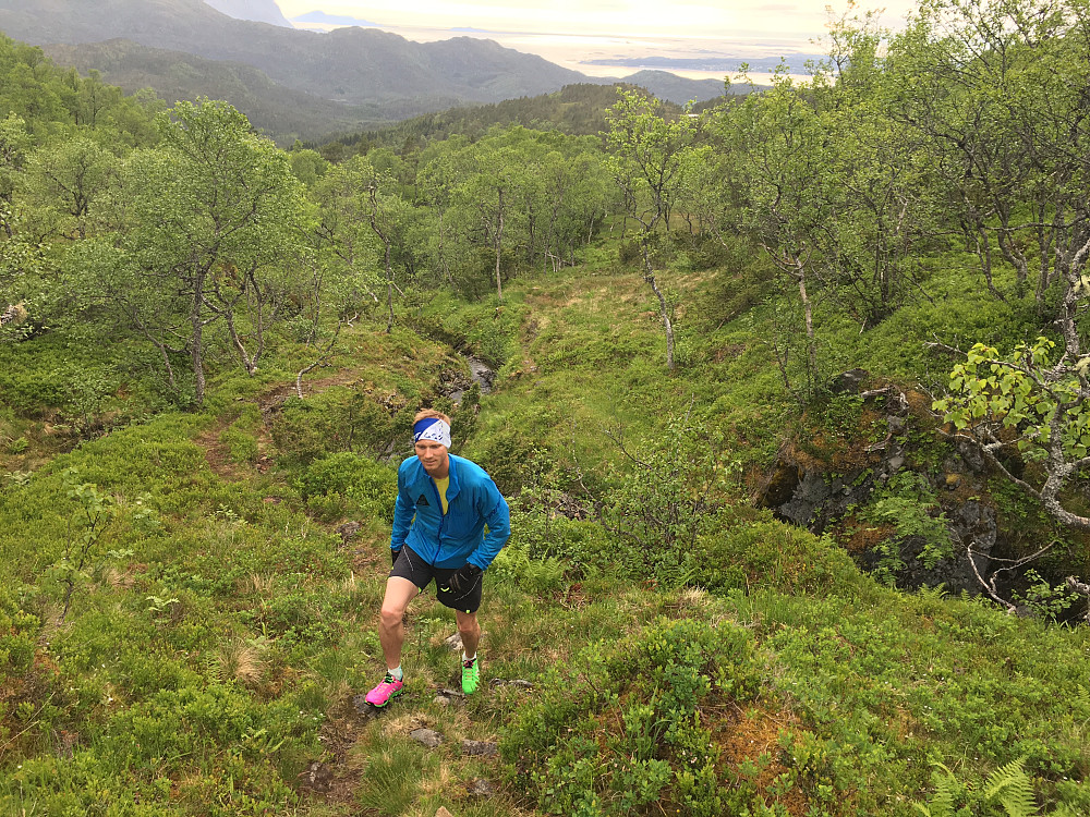 HP med nye sko for anledningen tar det rolig i dag etter sitt ultrarun i går. Her på vei opp fra Åndalsetra til Løvenskaret.