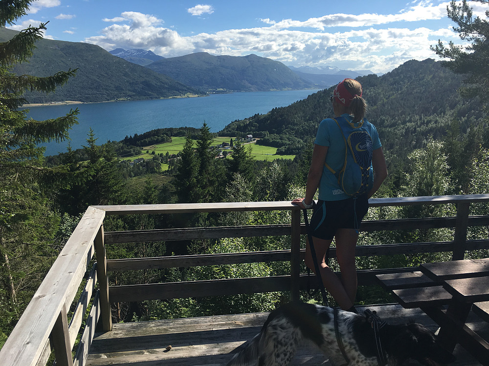 Gapahuk ca 250 MOH. Fint tilrettelagt med platting til og med.