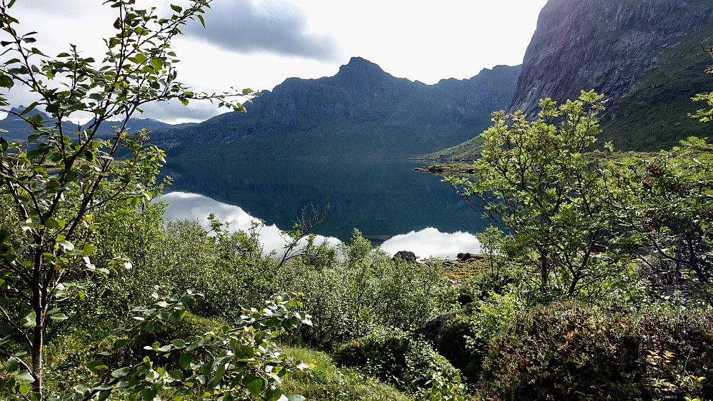 Stormarkpollen innerst i Selfjorden.