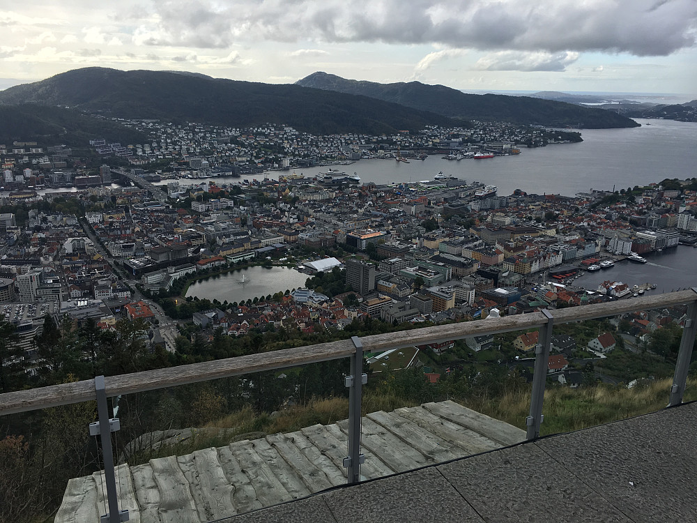 Fløyen