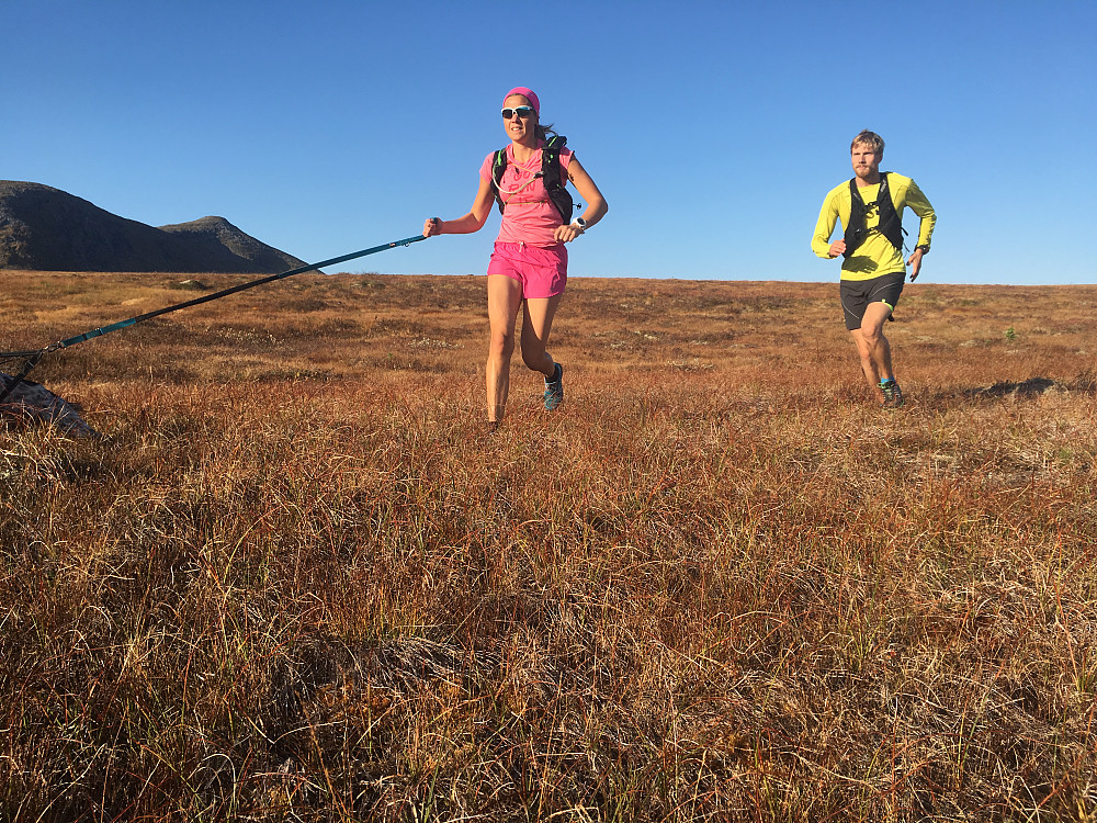 Noen kilometer flatt i starten av turen.