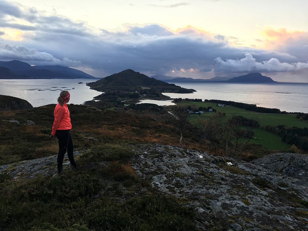 Marie på Rossfjellet. Dryna bak.
