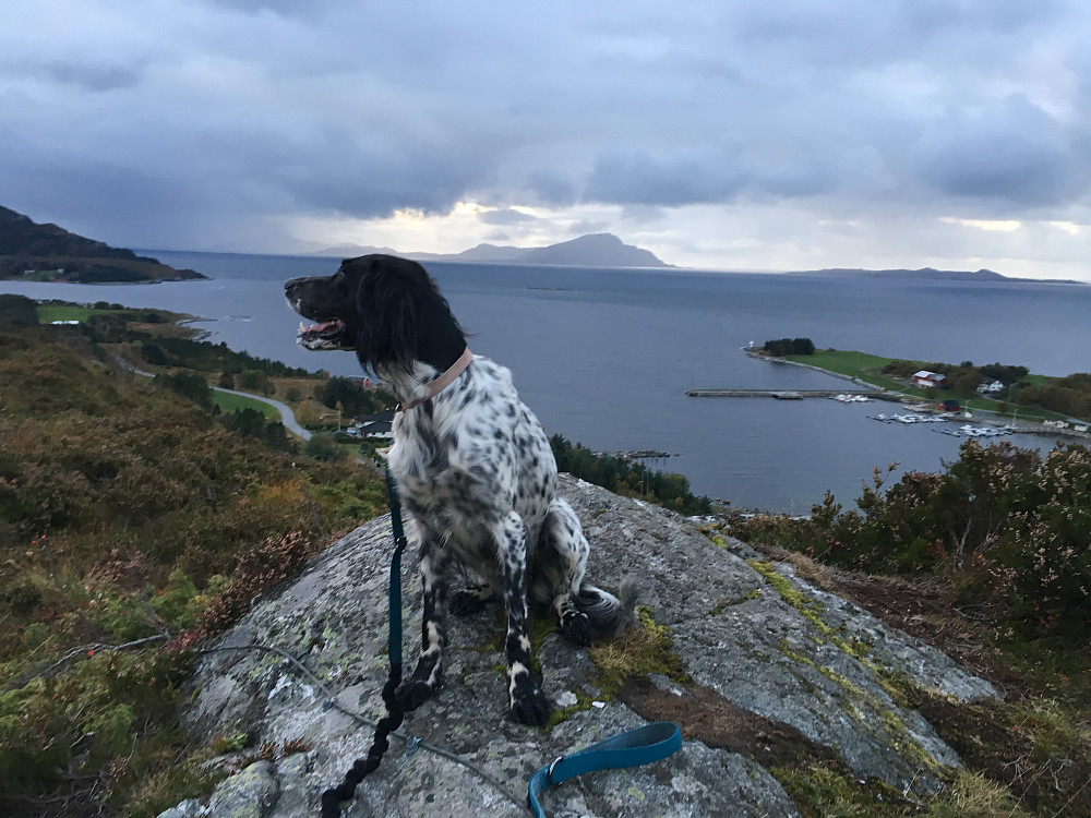 Horja på Korsvikfjellet.